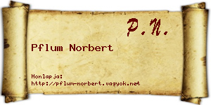 Pflum Norbert névjegykártya
